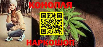 ПСИЛОЦИБИНОВЫЕ ГРИБЫ Краснодар