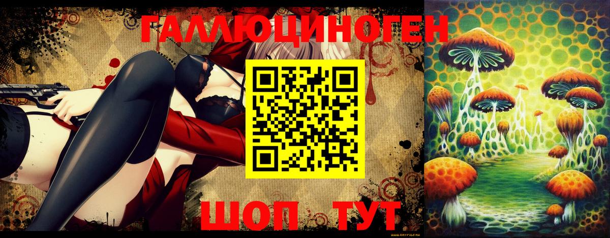 Галлюциногенные грибы GOLDEN TEACHER  Вход с VPN  Знаменск  Галлюциногенные грибы Psilocybe 
